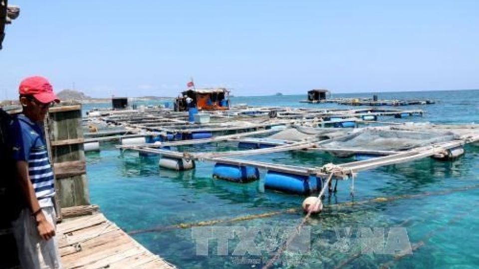 Khanh Hoa hosts ASEAN-India workshop on blue economy