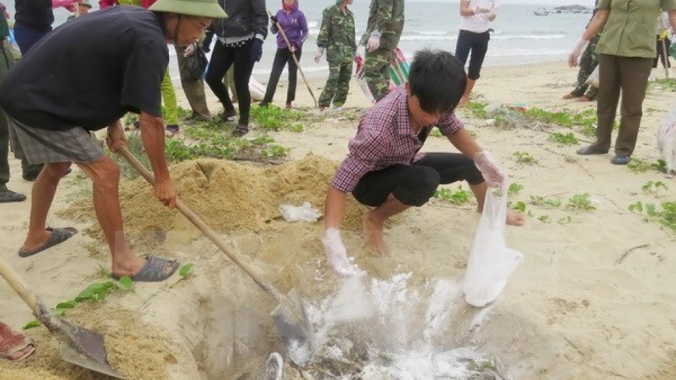 Rice aid comes to affected fishermen in Quang Tri
