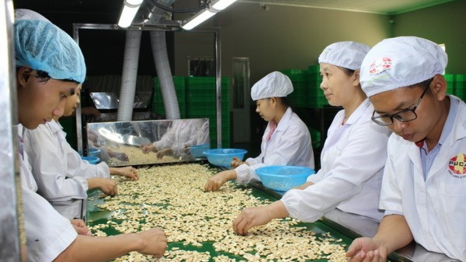 Agro-forestry-fishery export value picks up 11.9 percent
