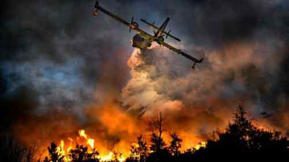 Indonesia intensifies efforts to combat forest fires