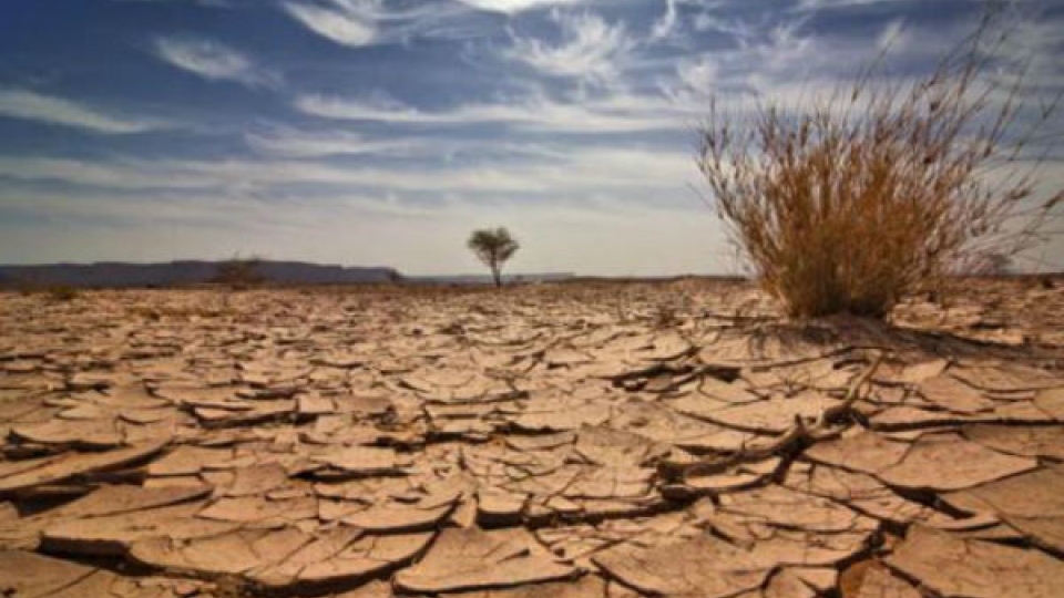 Forum on Mekong Delta’s agriculture's climate change adaptation