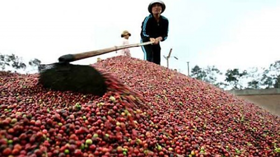 Agri-forestry and seafood exports decline
