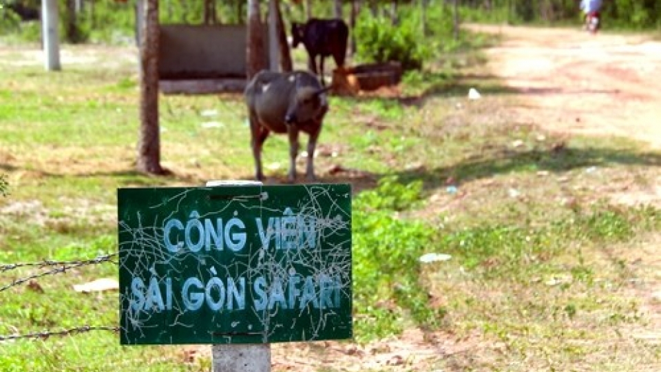 HCM City helps US$500 million safari park