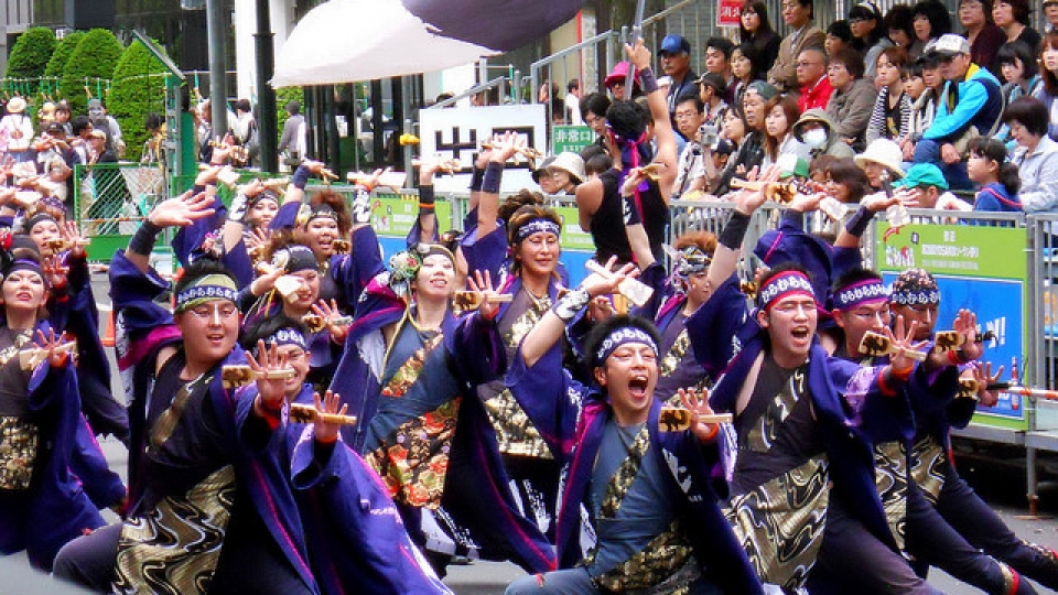 Danang to host first Japanese cherry blossom festival