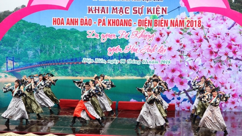 Cherry blossom festival comes to Dien Bien
