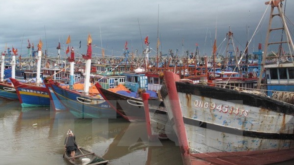 Ca Mau fishermen equipped with communication devices