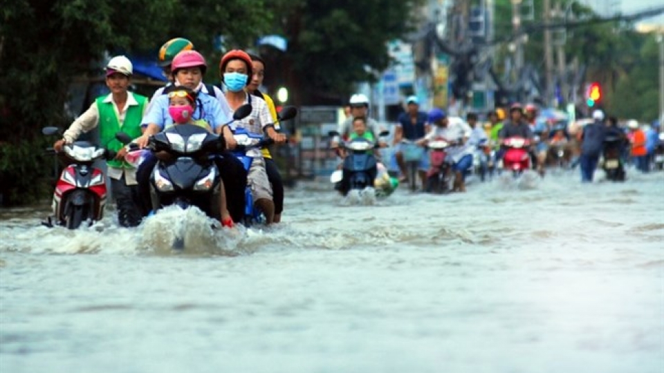 HCM City flood control master plan inadequate: official