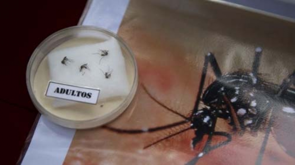 Thailand raises alert level in Zika spread