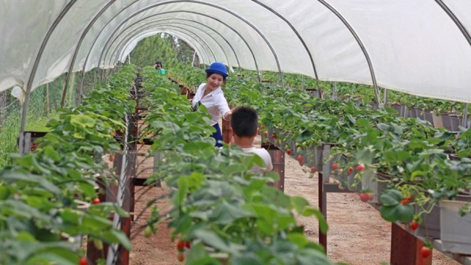 Can Tho, India seek partnership in agriculture, training