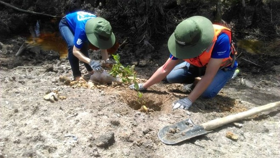 WWF, Intel start wetland reforestation project