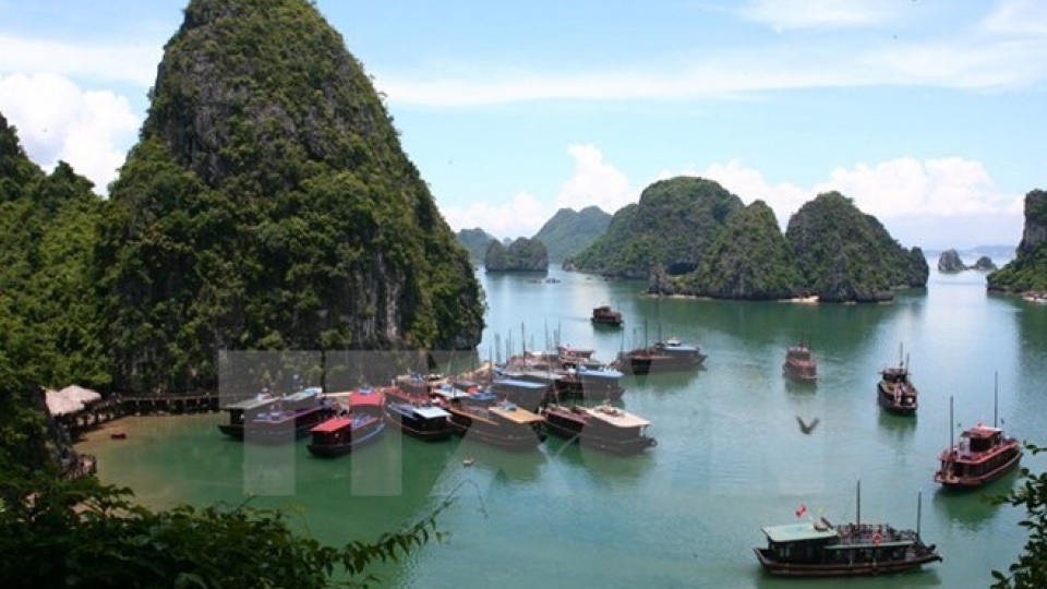 JICA project helps protect Ha Long Bay environment