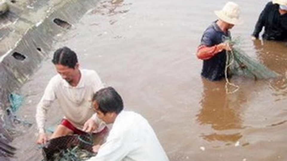 Kien Giang works to promote sustainable poverty reduction