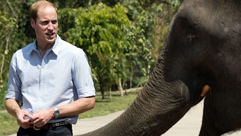 Prince William visits Vietnam for wildlife conservation