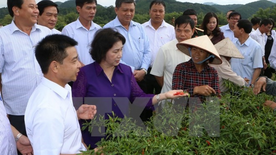 Lang Son required to better investment environment