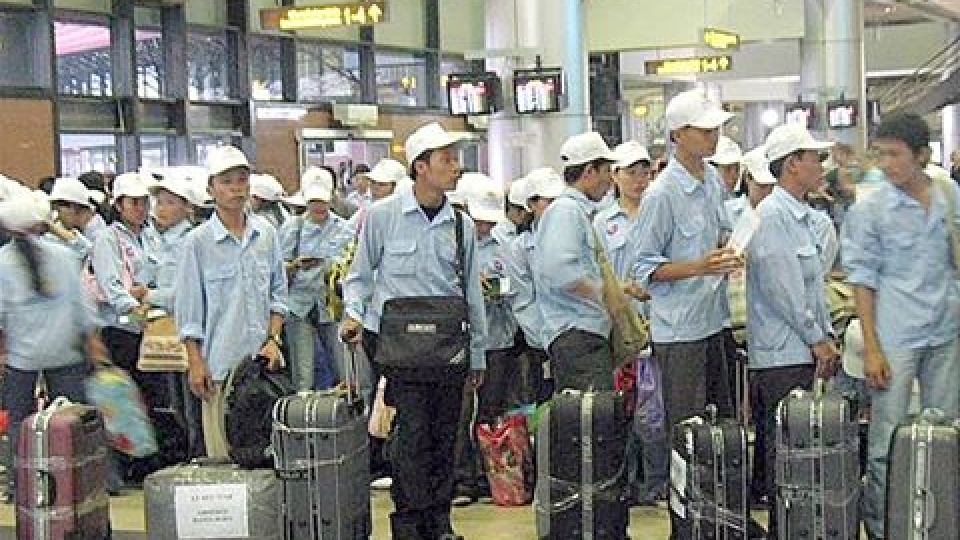 More doors open for Vietnamese migrant workers