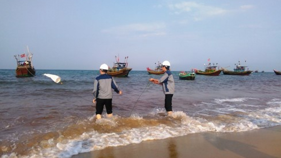 100 scientists helping Vietnam crack fish death mystery