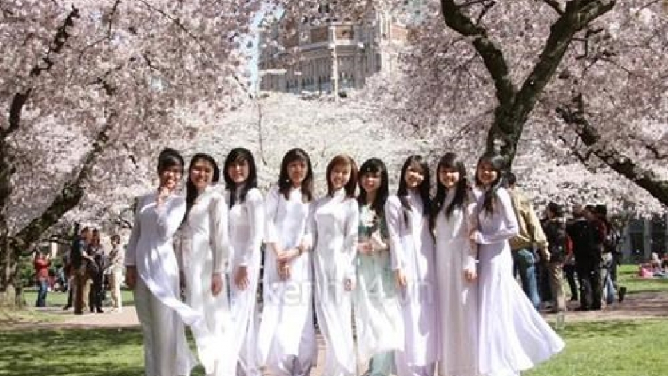 Vietnam ranks second in number of overseas students in Japan