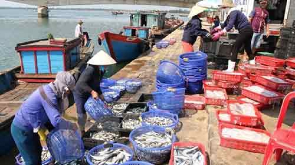 Thua Thien – Hue supports fishermen