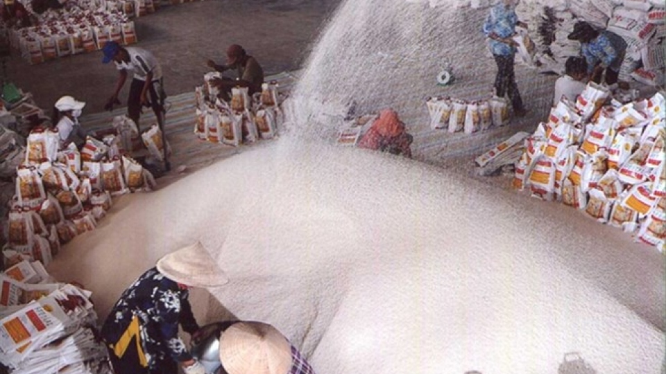 Rice exports less competitive
