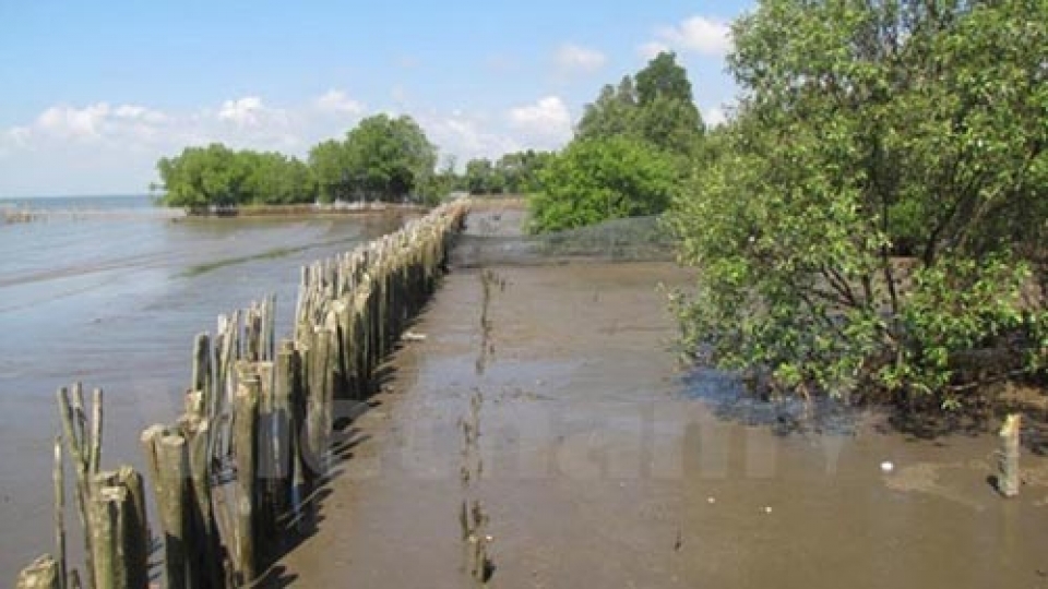 Workshop looks at Vietnam’s response to climate change