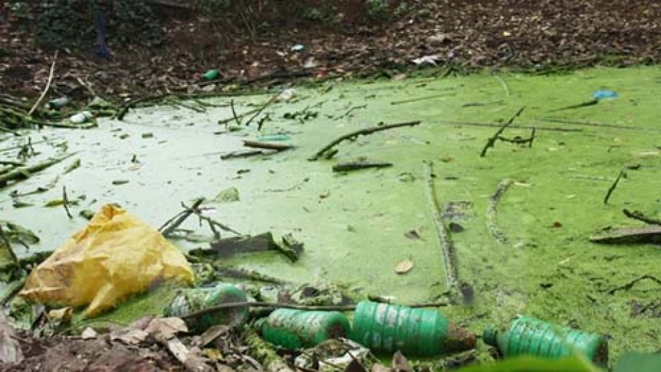 Environmental protection – a priority of agriculture ministry