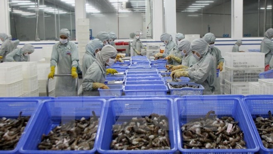 shrimp_FAFP.jpg