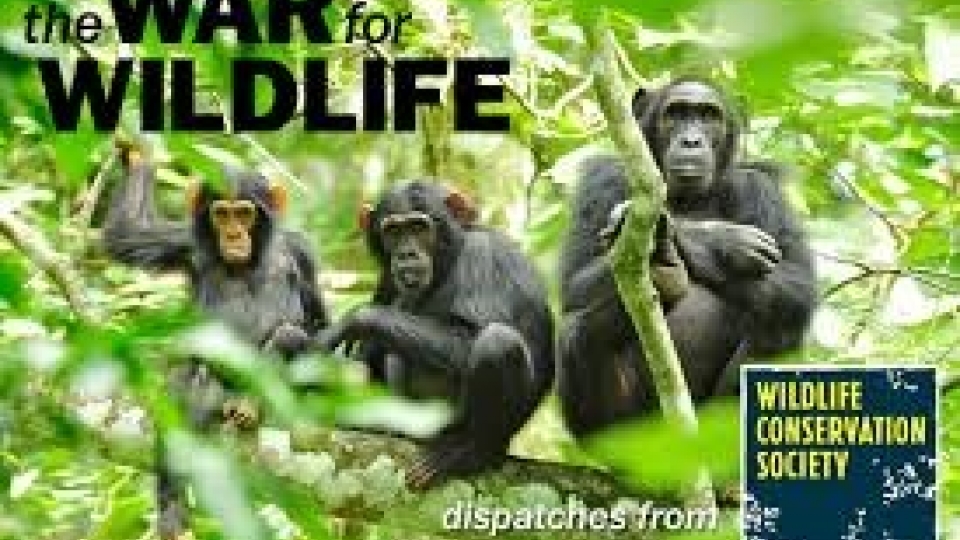 Vietnam joins Laos, China in fight against wildlife trafficking
