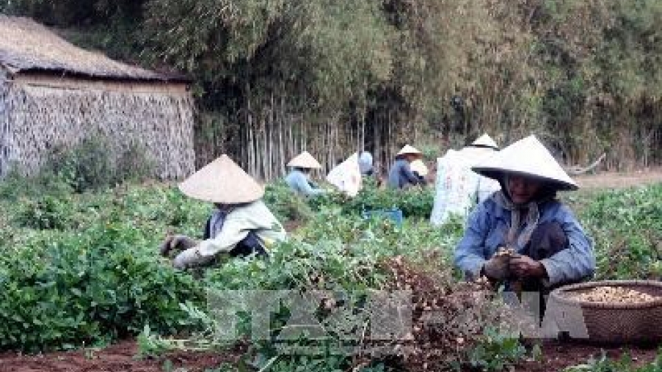 Tra Vinh farmers receive assistance to adapt to climate change