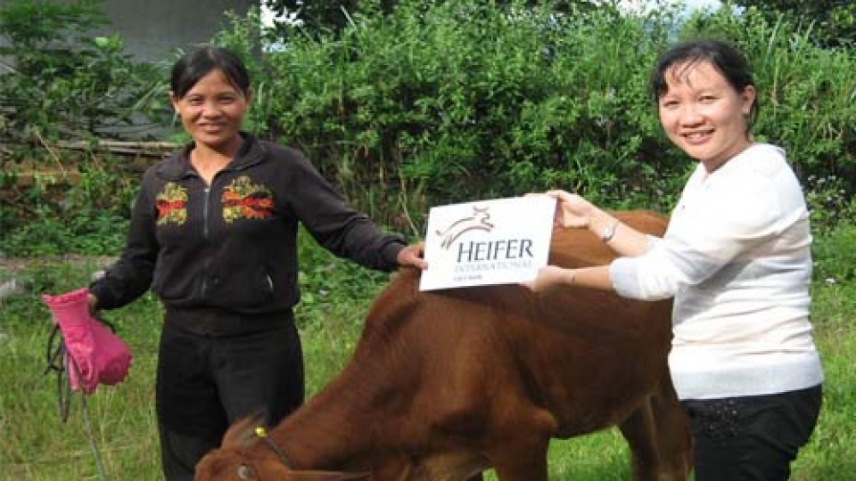 Tien Giang: Disadvantaged people supported to transform production
