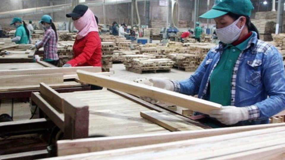 Foreign investors eye Vietnam’s wood industry