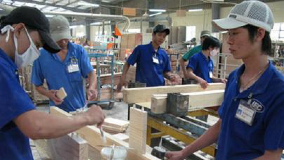 Vietnam needs better quality forest products