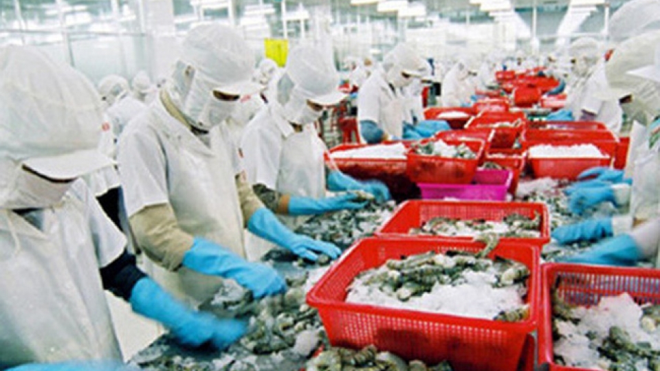 Exports to Algeria up 29% in 7 months