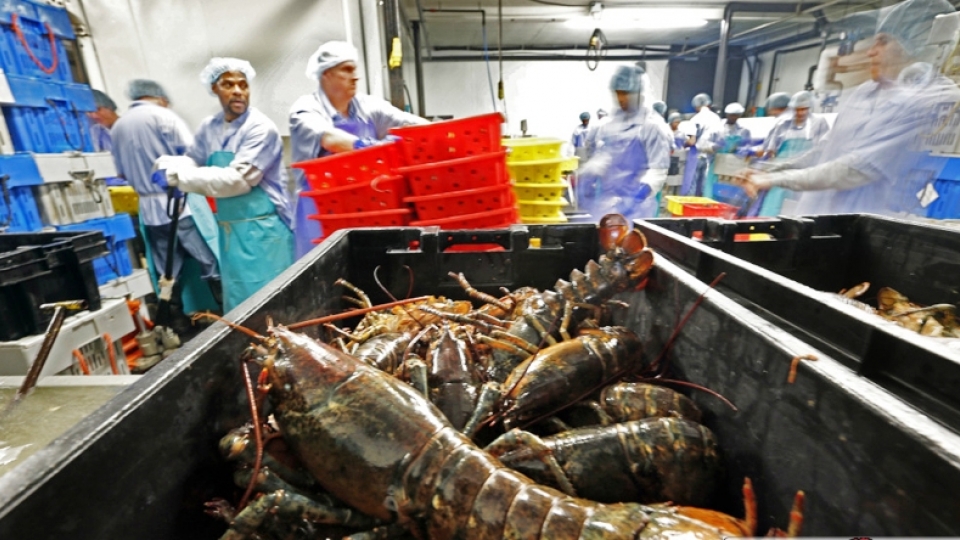 Canada trade mission highlights need for food safety in Vietnam