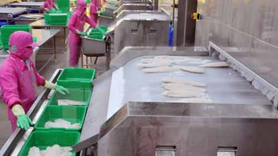 Tra fish exports to UK increase sharply