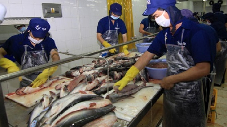 Relaxing tra fish decree faces difficulties
