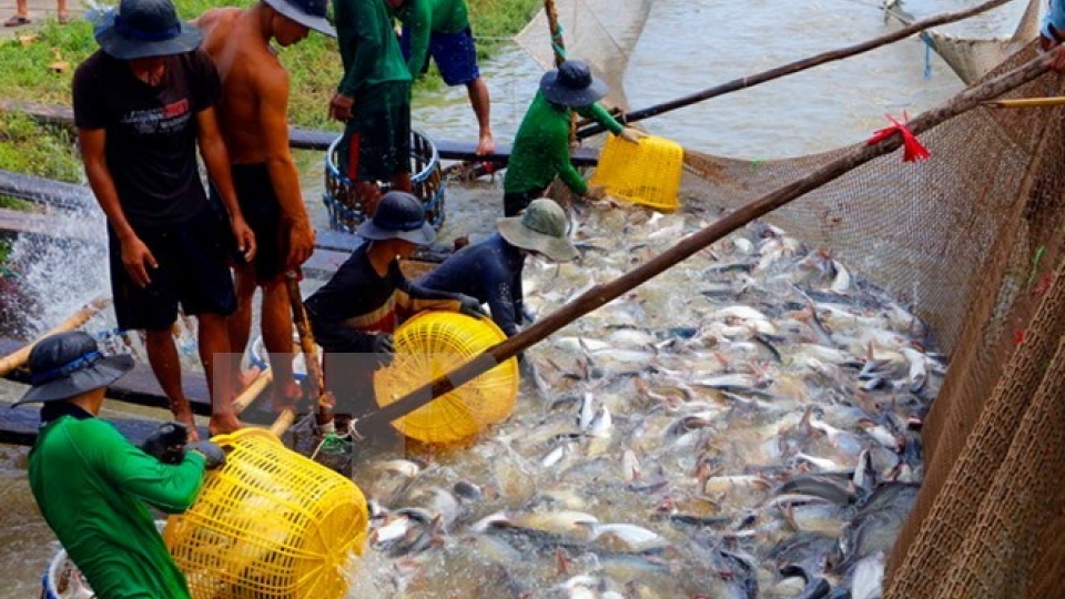 Vietnam promotes aquaculture, fishery at Algeria’s int’l fair