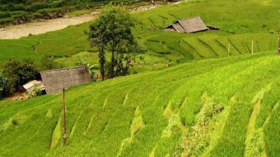 Vietnam’s official online travel mart opens