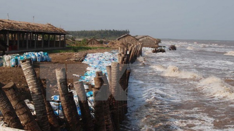 Vietnam-Germany forum urges stricter water management in river basins