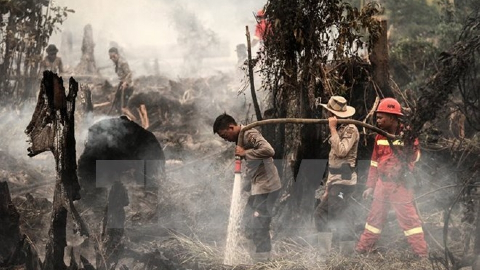Indonesia strengthens forest fires monitoring in Kalimantan