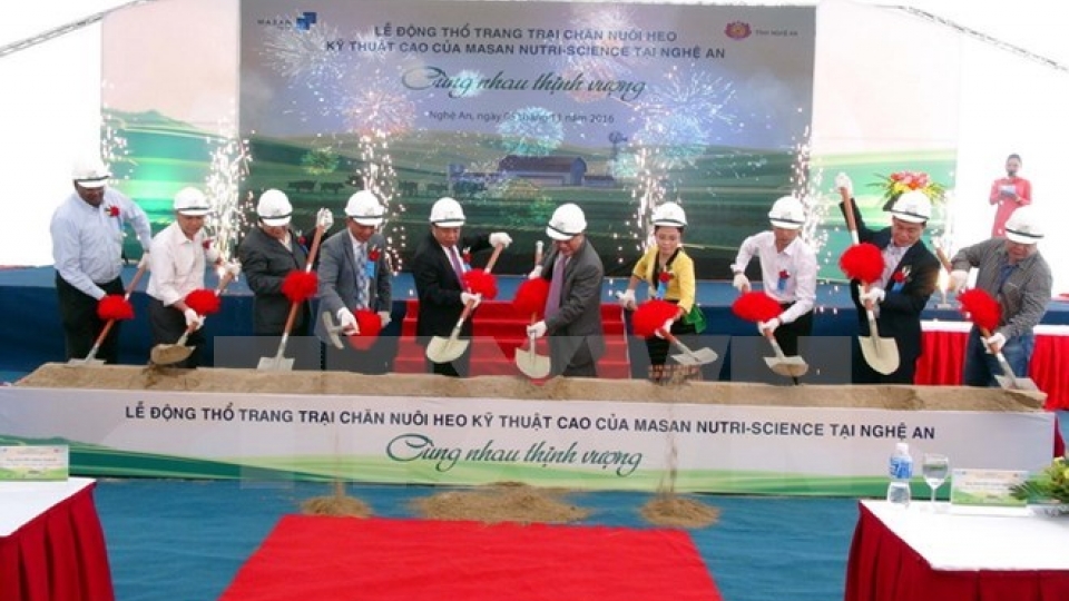 Nghe An to have new high-tech pig farm