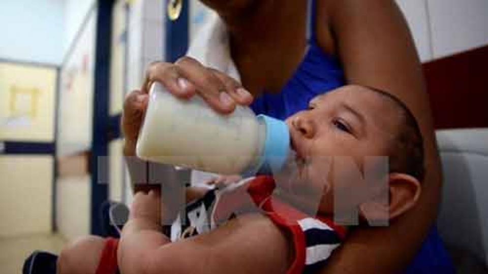 Zika virus yet to enter Vietnam