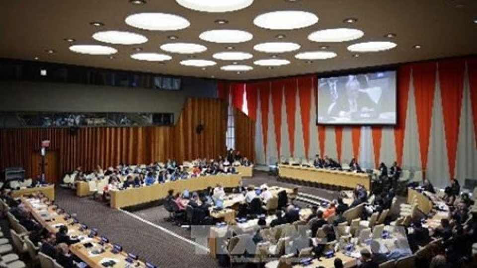 Vietnam’s contributions to the UN Economic and Social Council