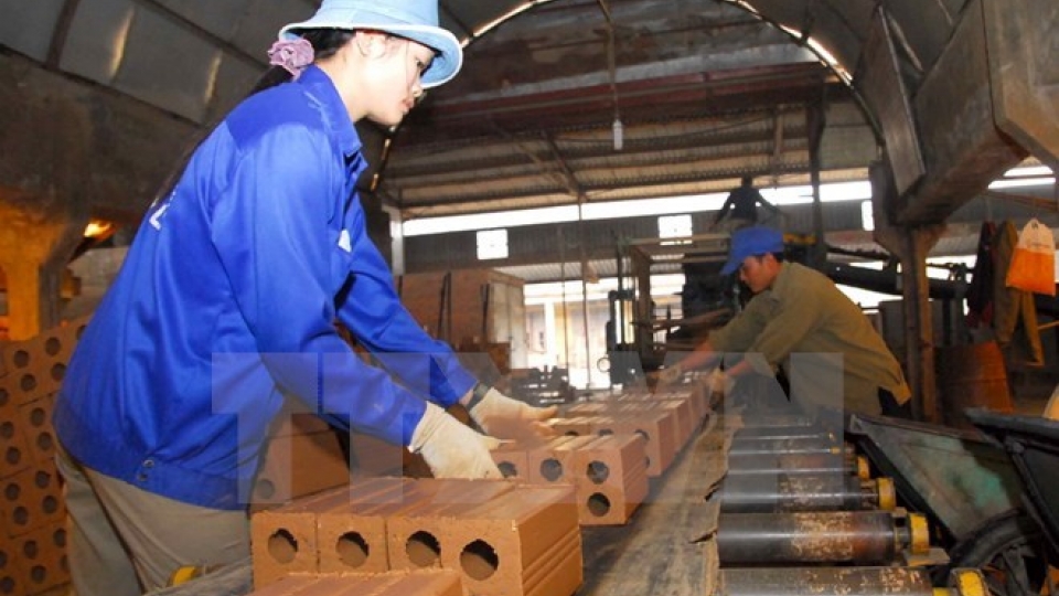 Equitisation plans of 48 SOEs receive approval