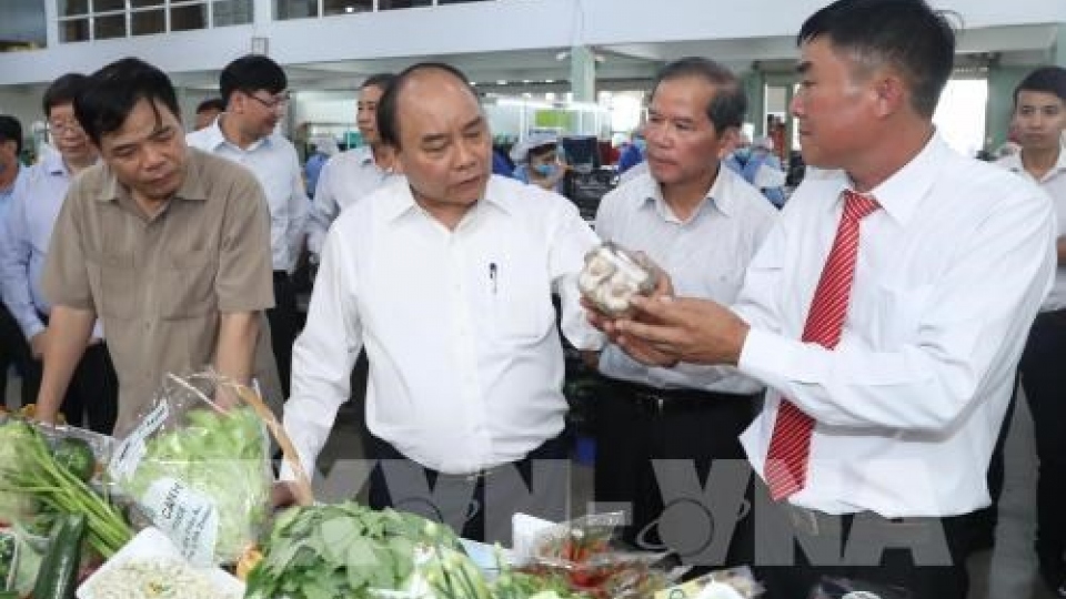 PM visits high-tech agri production model in Lam Dong