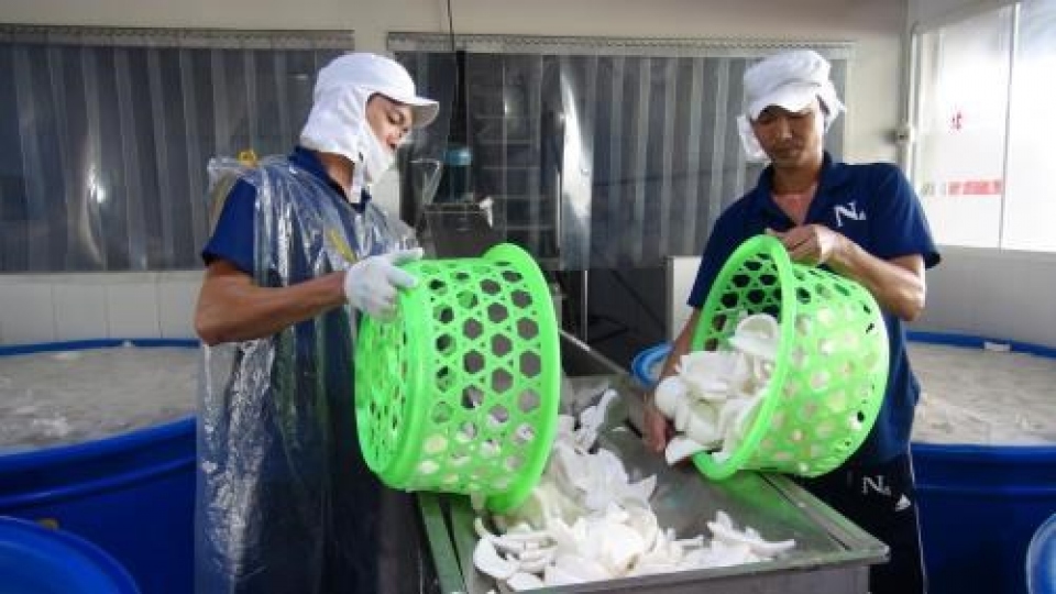 Ben Tre aims to fetch US$400 million from exports