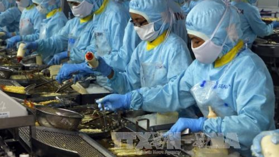 Price of material shrimp increases in August