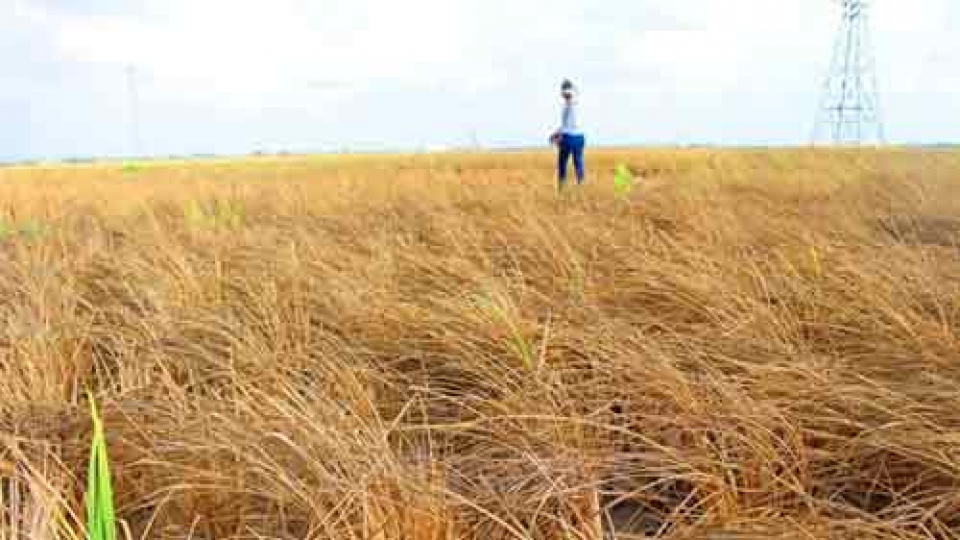 Youth help residents in drought-hit areas access drinking water