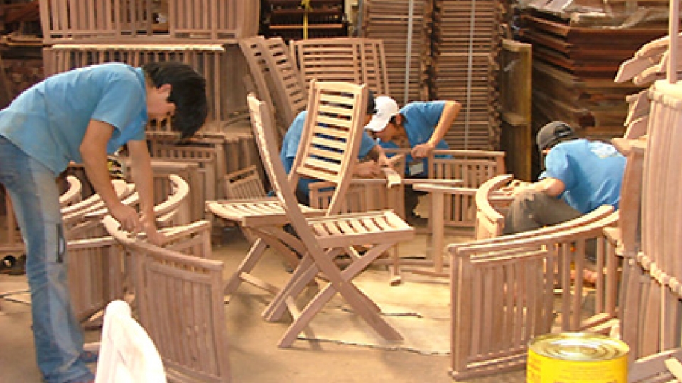 South Africa seeks wood industry ties with Binh Dinh