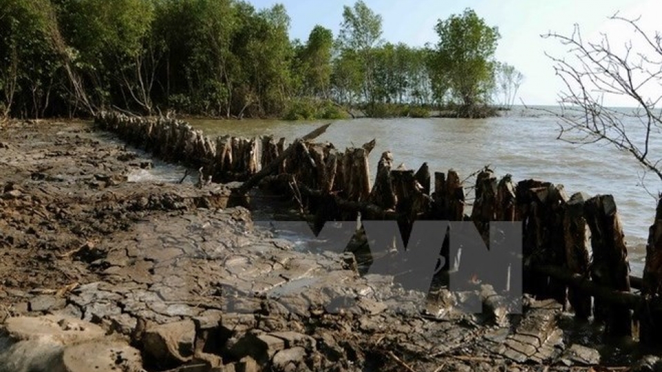 Tien Giang builds sluices to fight saline intrusion