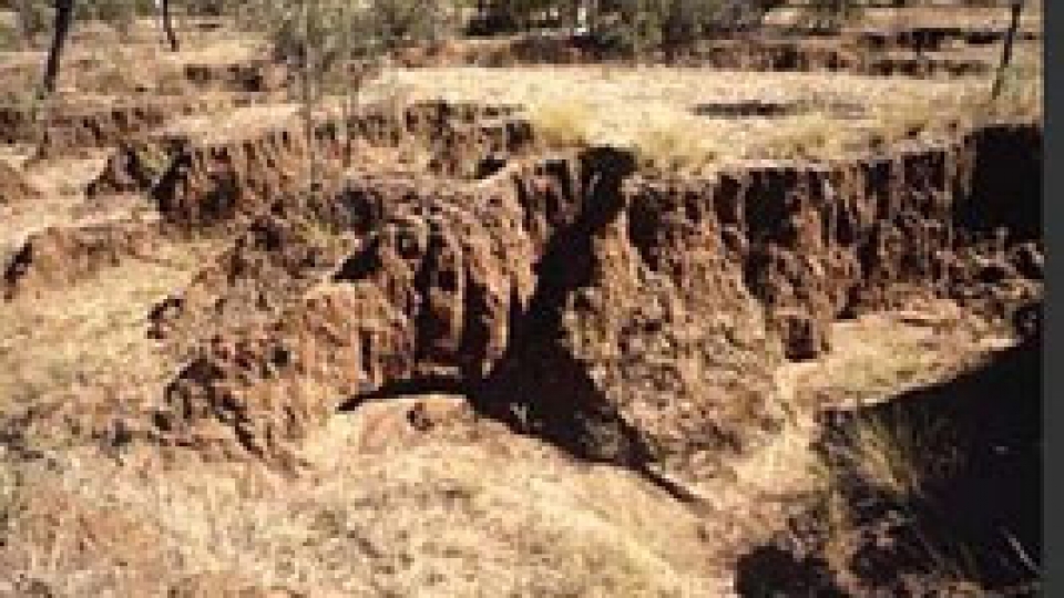 Vietnam prioritises measures against land erosion